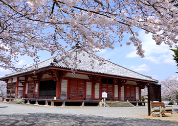 おの桜めぐり(3)