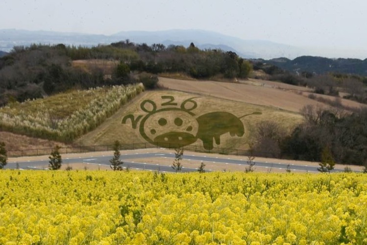 あわじ花さじき_アースワーク