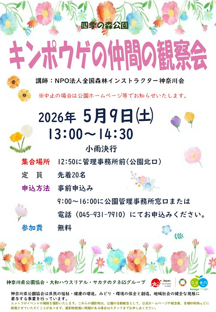 キンポウゲの仲間の観察会