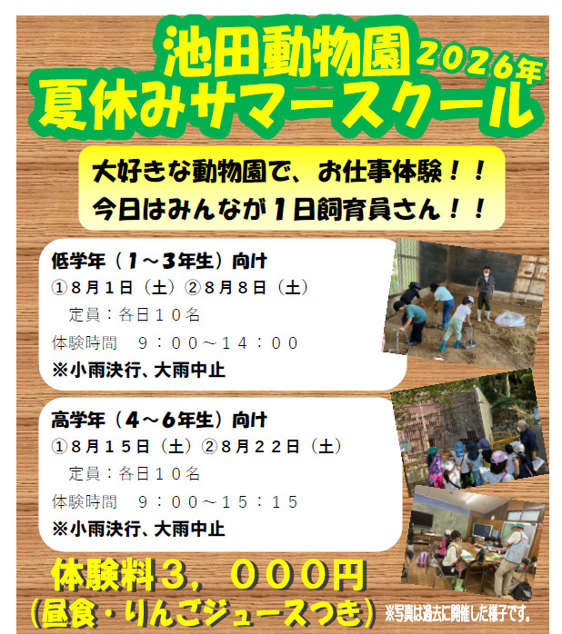 夏休みサマースクール２０２６低学年