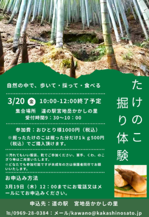 たけのこ堀り体験
