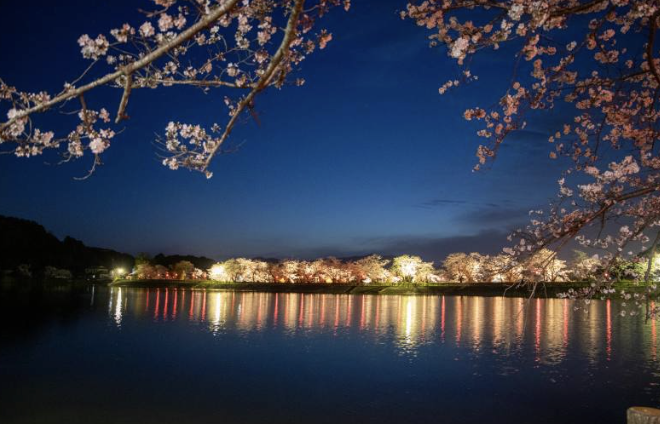 立岡公園 夜