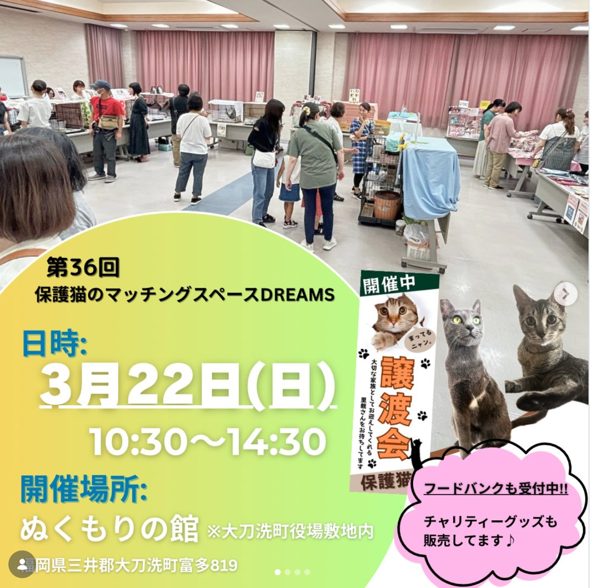 第36回・保護猫譲渡会開催