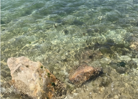 春の笠岡諸島をフェリーで巡る 瀬戸内海の島時間を楽しむひとり旅