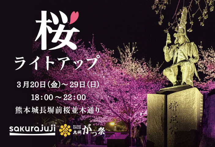 桜ライトアップ