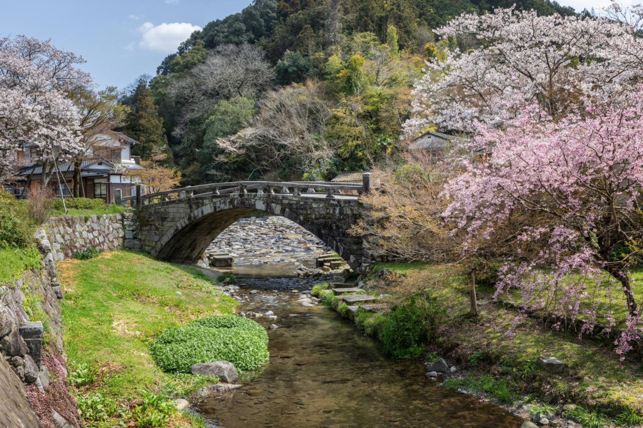 桜並木を彩る「目鏡橋」周辺の絶景スポット