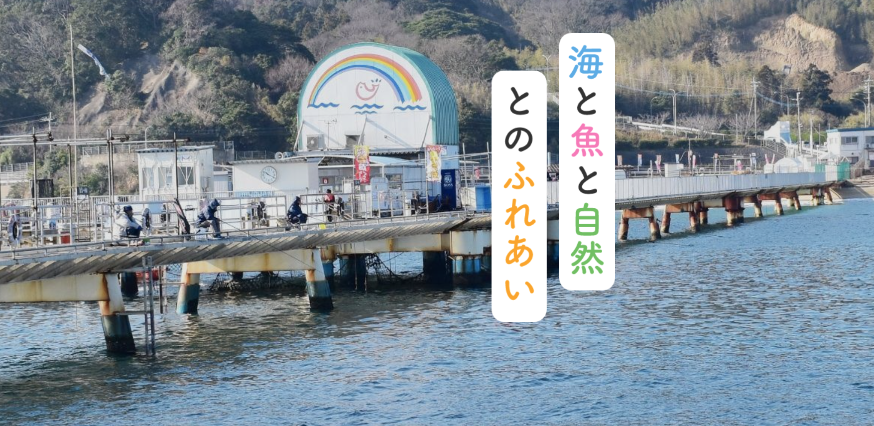 のっこみダービ-