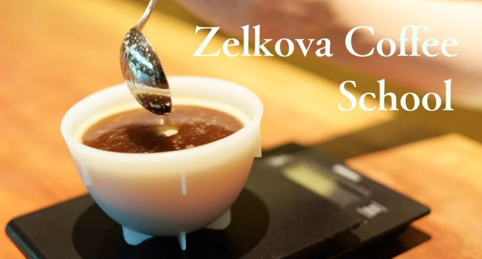 Zelkova Coffee School
