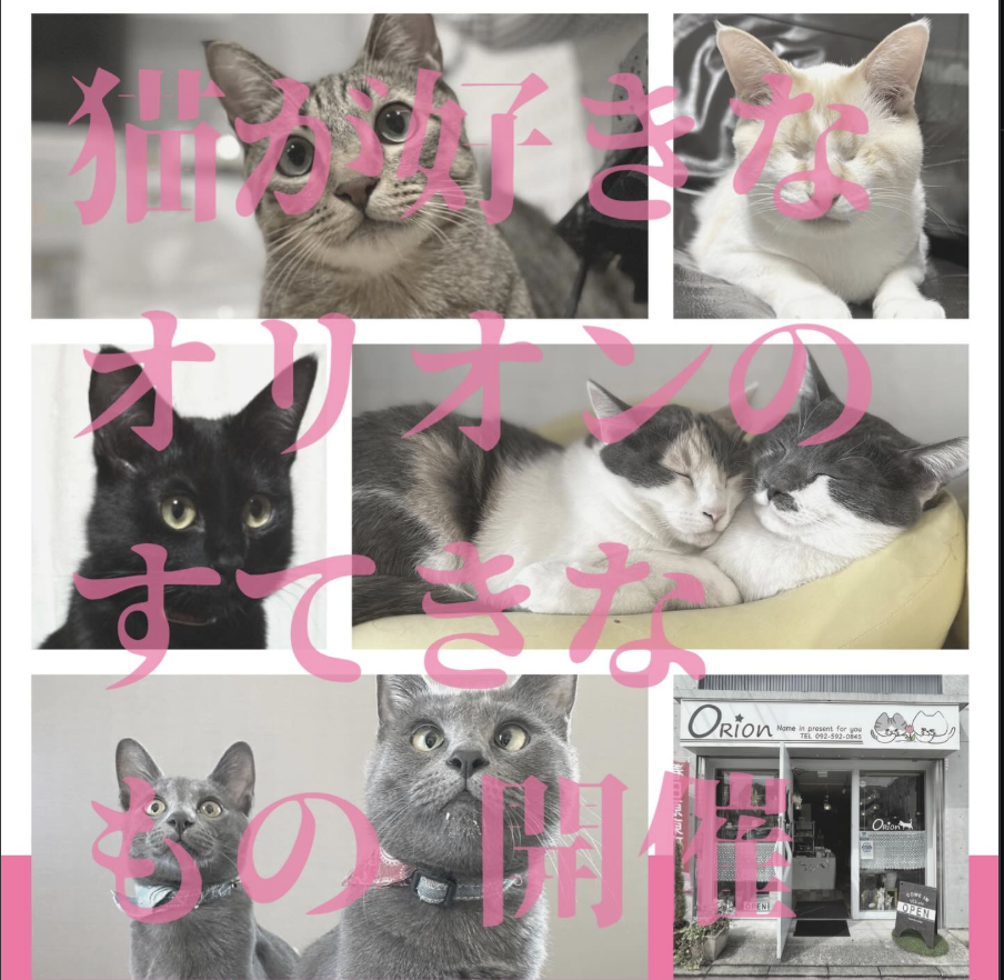 猫好きが集まる「オリオンすてきなもの」