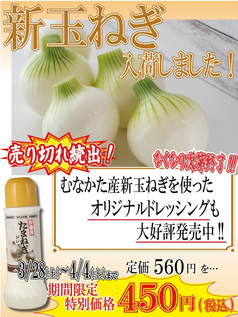 新玉ねぎ期間限定特別価格