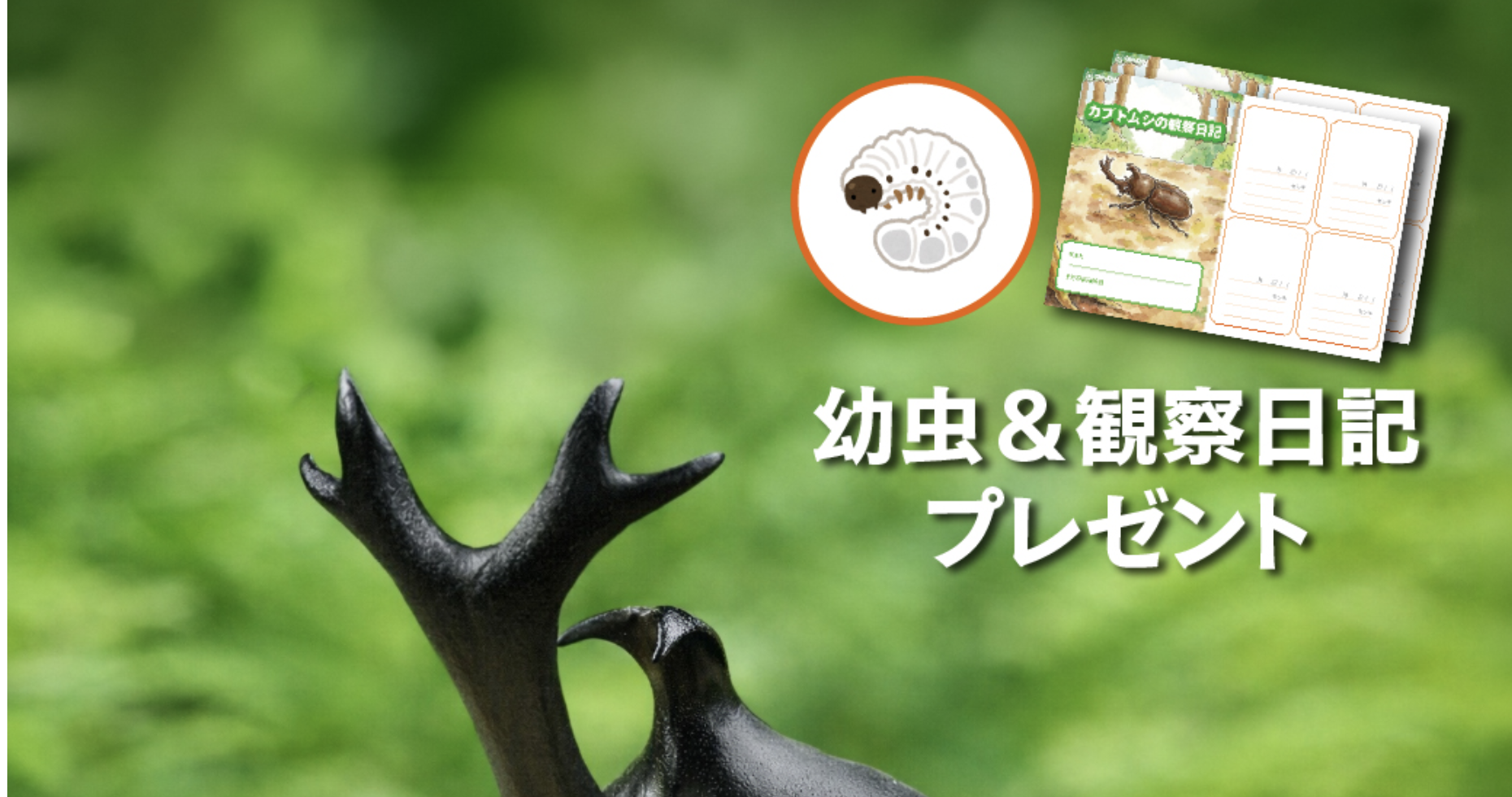 ワークショップ「カブトムシ博士になろう」午前の部