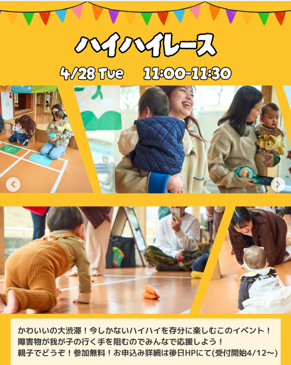 ハイハイレース