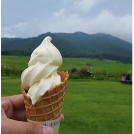 蒜山高原で春を満喫 残雪と新緑が美しい絶景スポットと楽しみ方