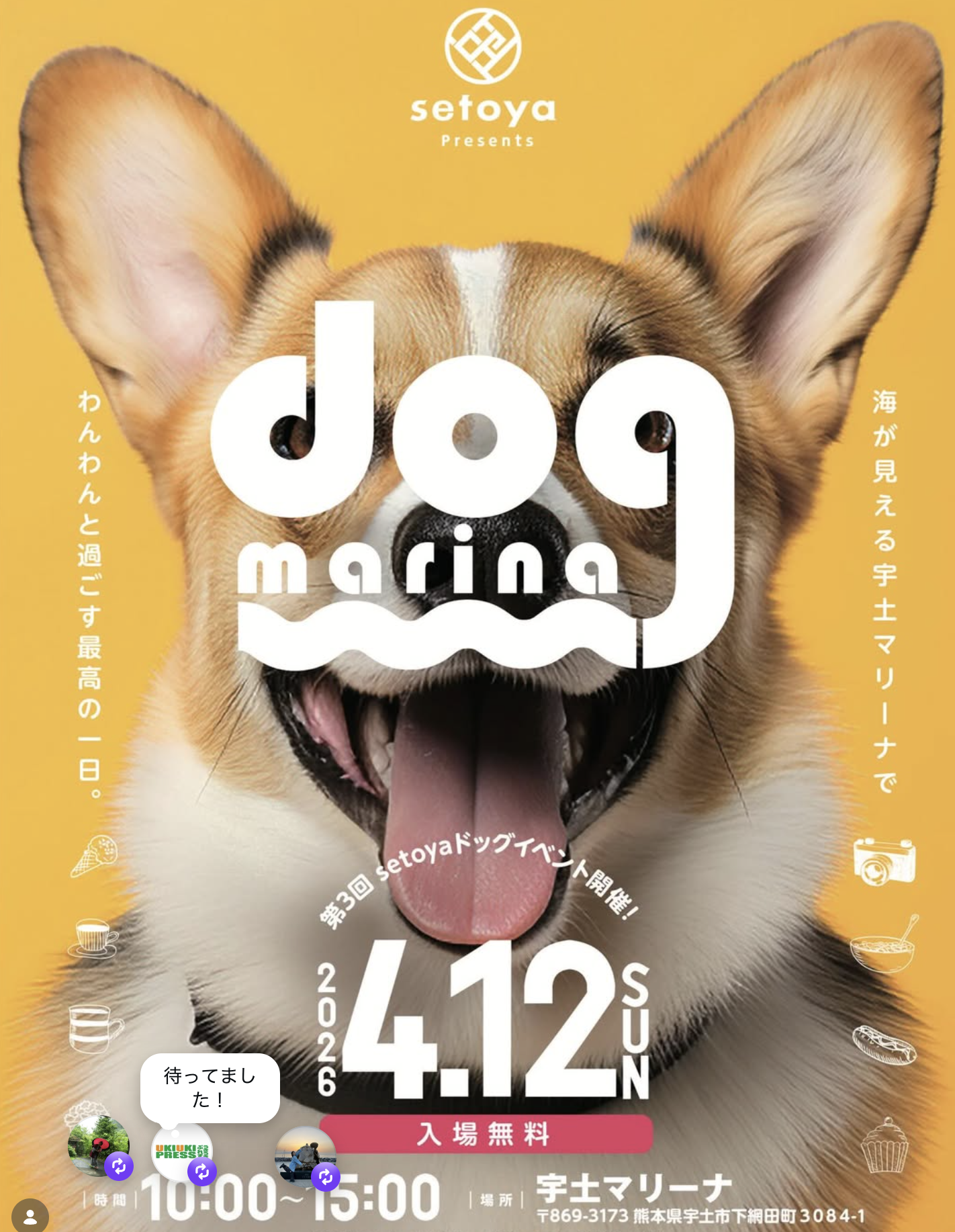 dog marina