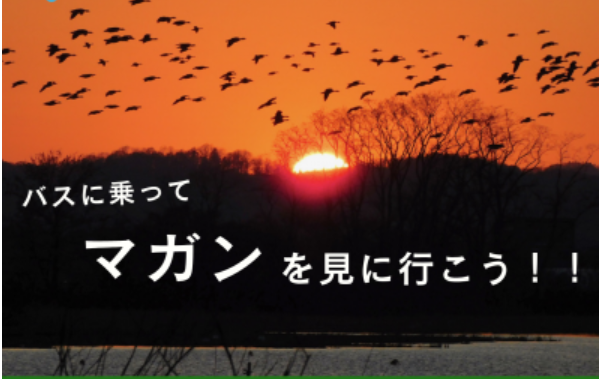 2026年春「バスに乗ってマガンを見に行こう!!」