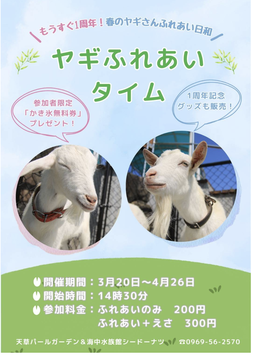 ヤギふれあいタイム