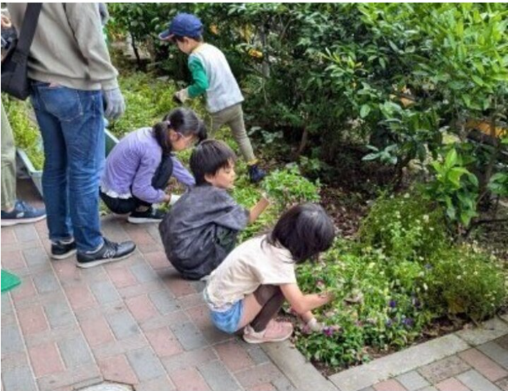 イオンモール伊丹昆陽で田植え体験・花壇の植替え体験