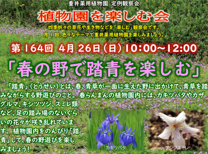 春の野で踏青を楽しむ