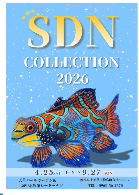 特別展「SDNコレクション２０２６」