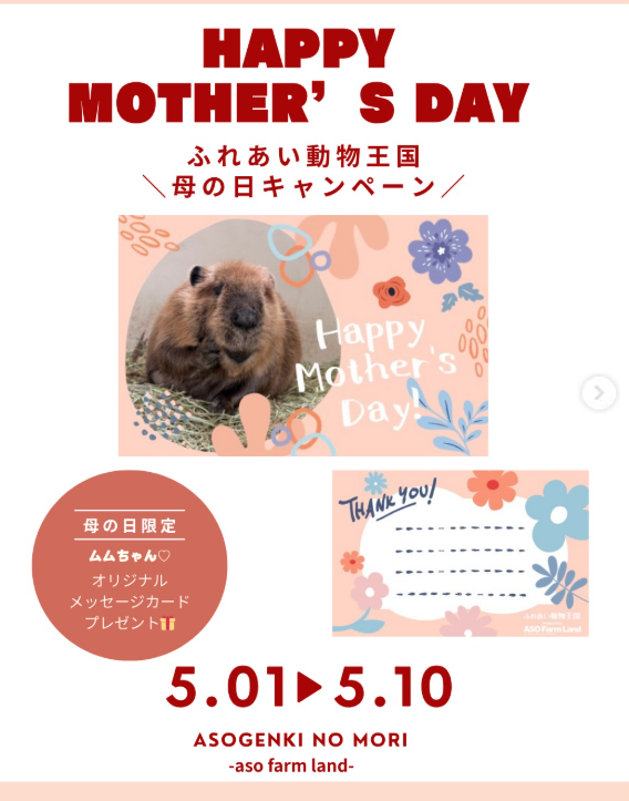 母の日キャンペーン