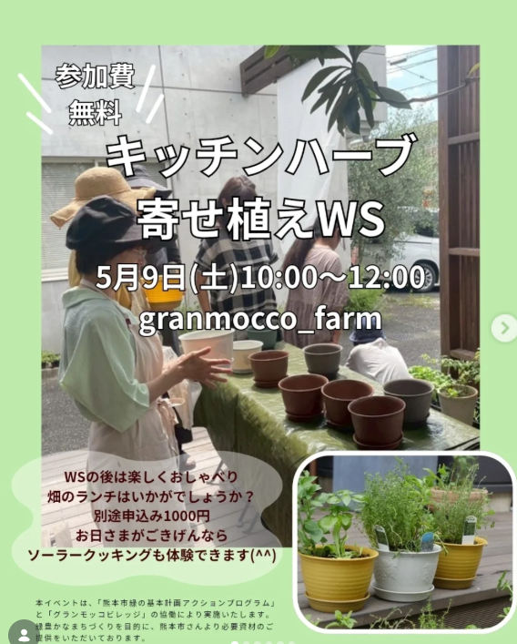 キッチンハーブ