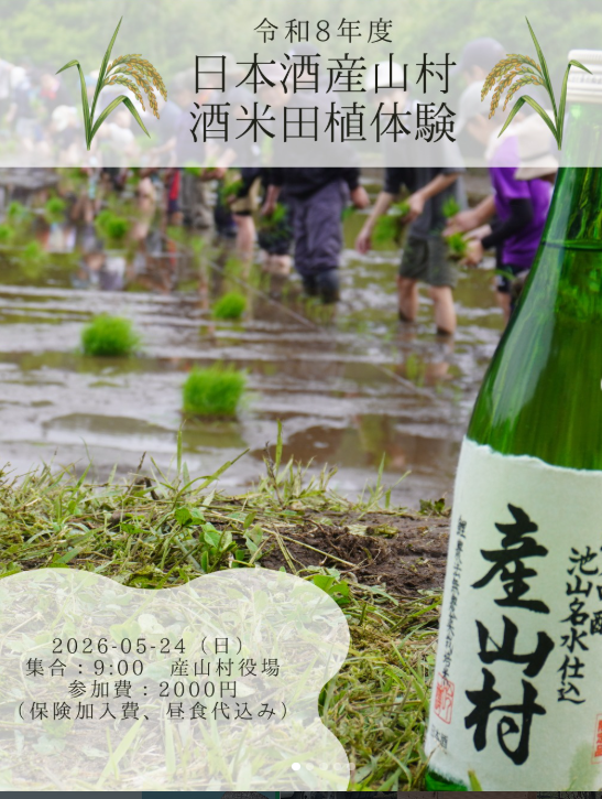 田植え体験