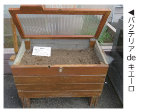 生ごみ処理器「バクテリアdeキ エーロ」講習会参加者募集