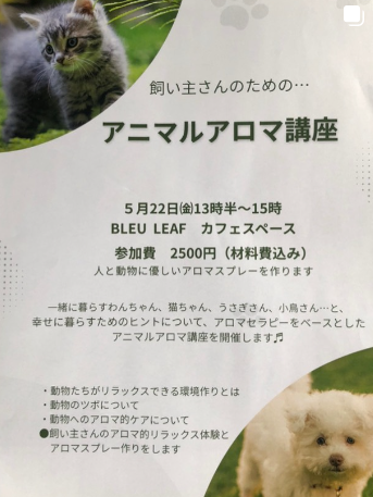 アニマルアロマ