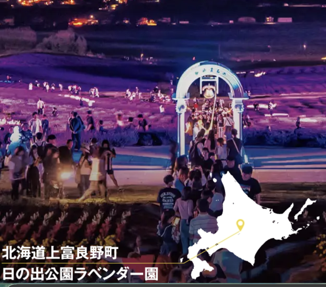 ラベンダーライトアップ
