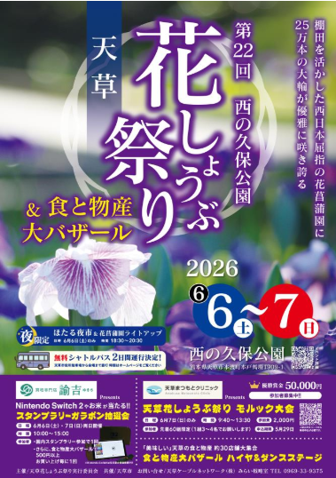アエオニウム販売in天草花しょうぶ祭り