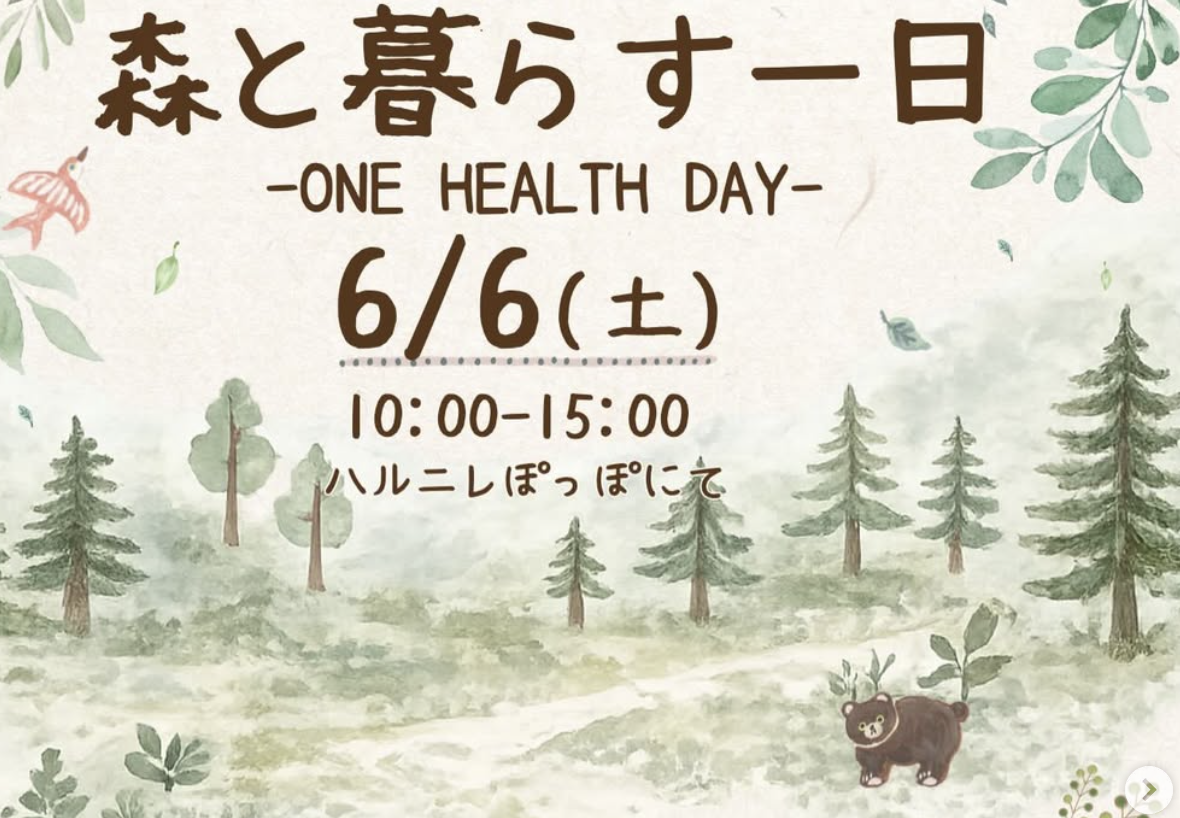 森と暮らす一日