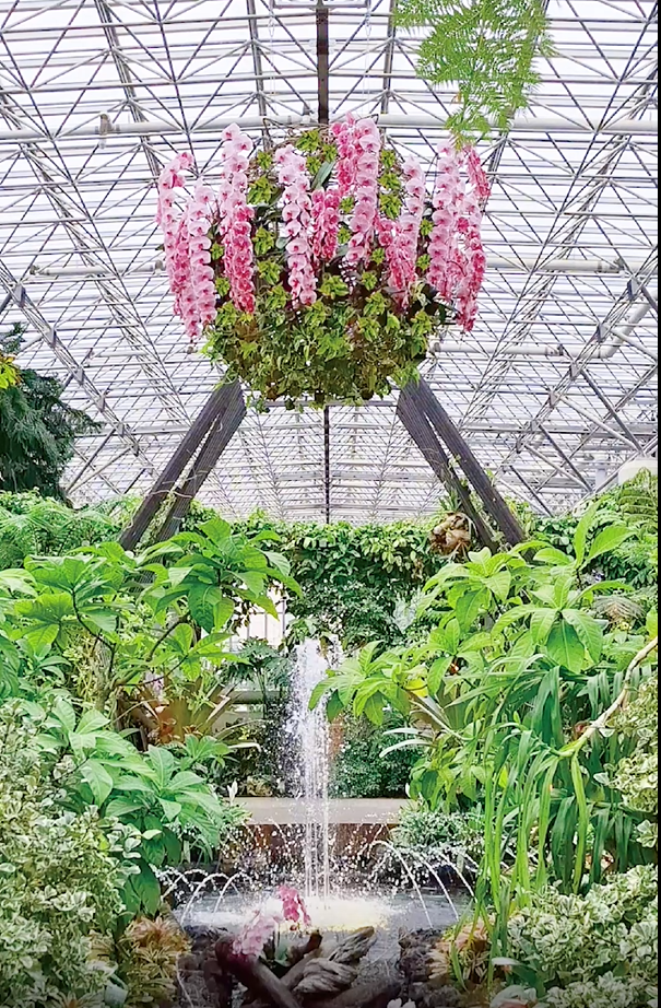 花の楽園