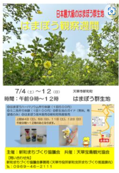 令和８年度　はまぼう観察週間