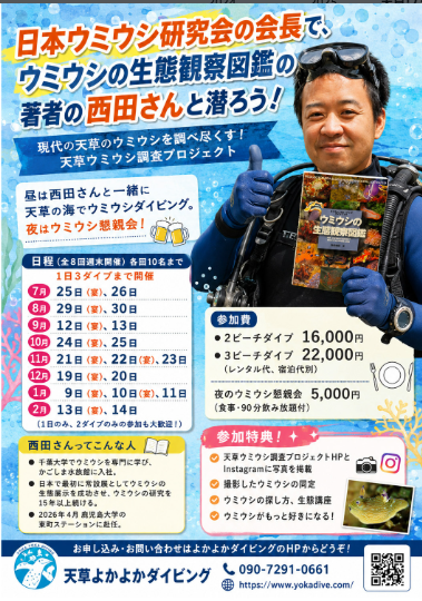 天草でダイビング＆シュノーケル！