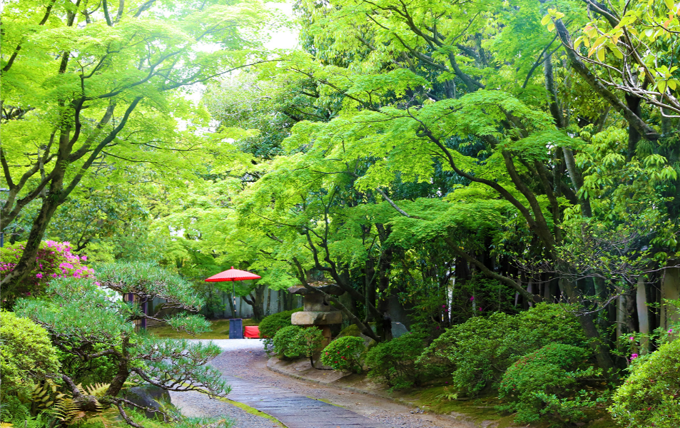 友泉亭公園アイキャッチ