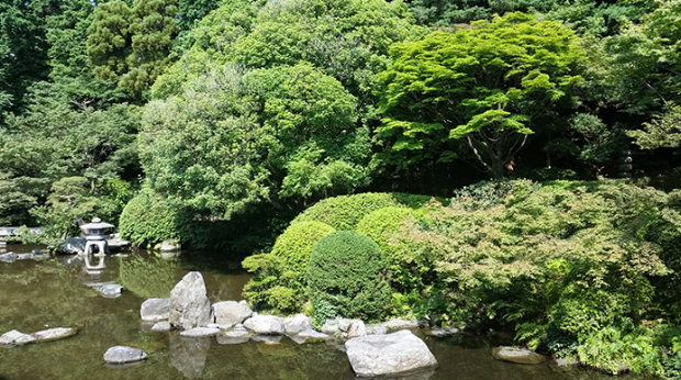 友泉亭公園2