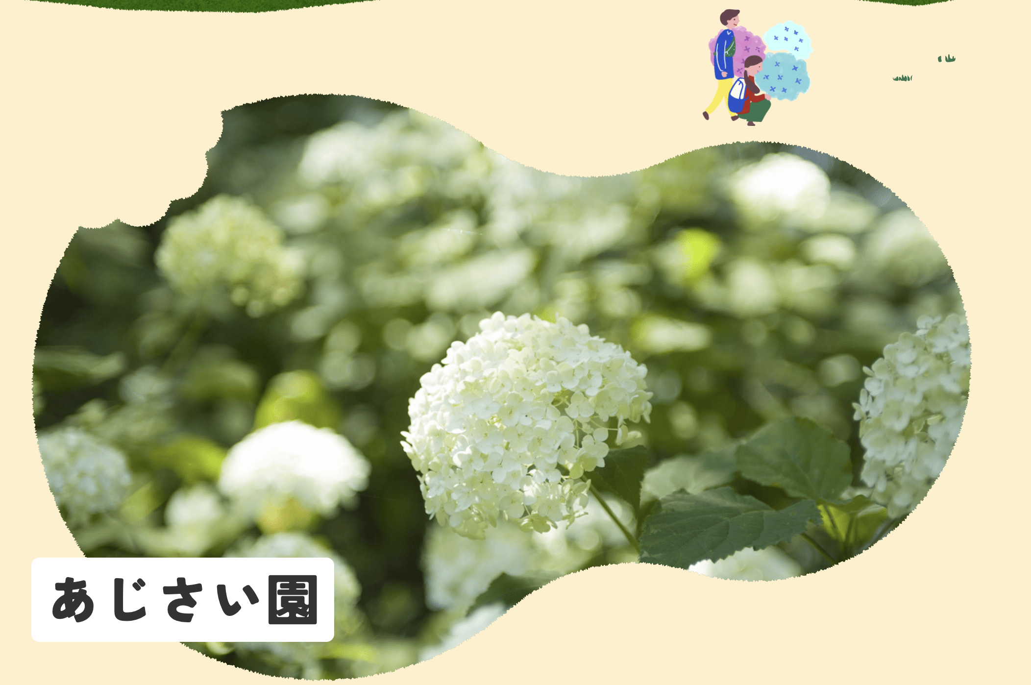しい茸ランドかさや 相野あじさい園