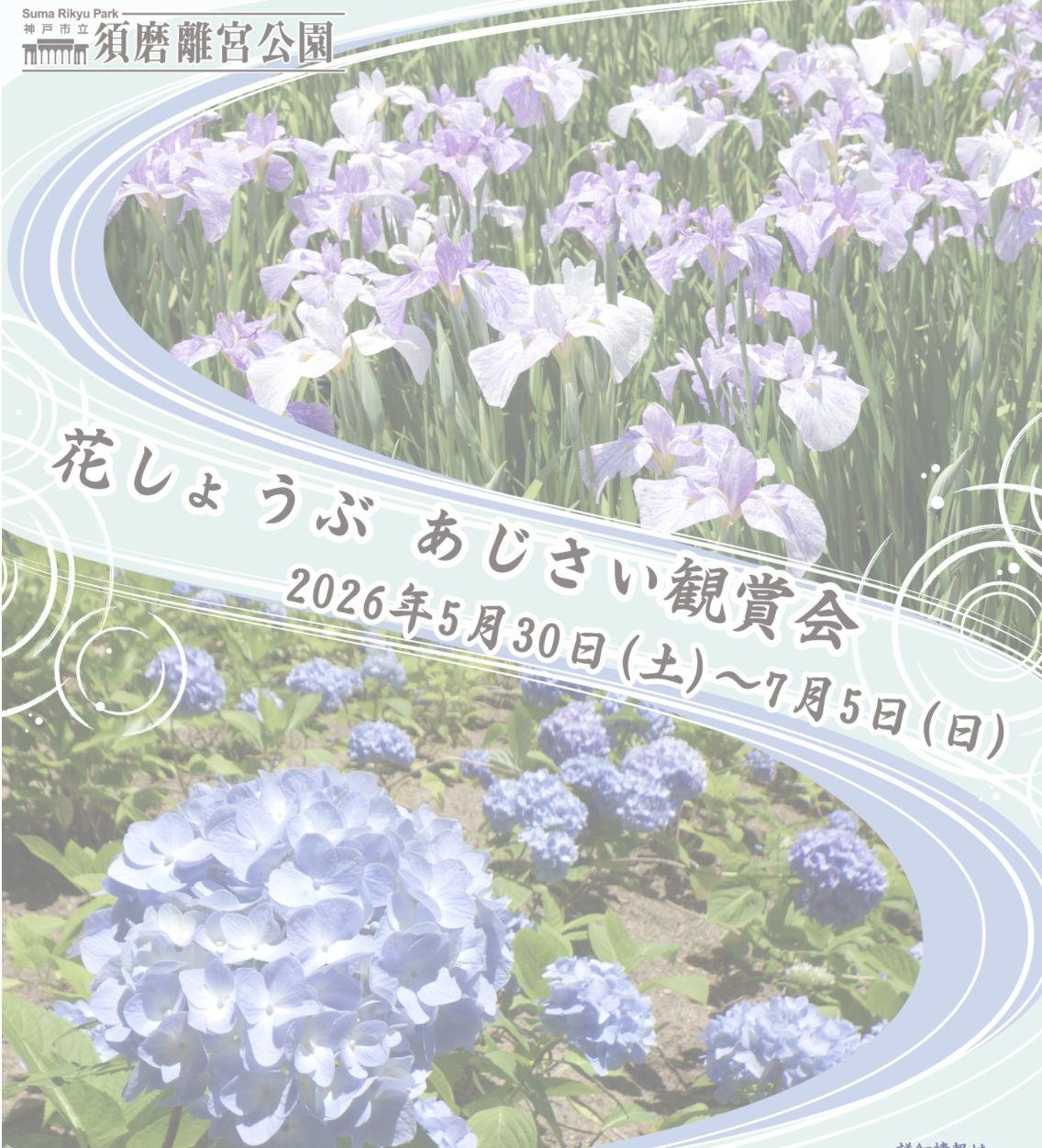 須磨離宮公園 花しょうぶあじさい