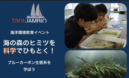 厚岸で「海の森のヒミツを科学でひもとく」開催