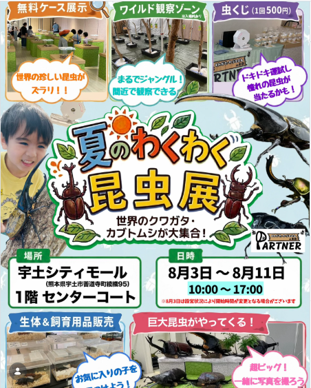 夏のわくわく昆虫展
