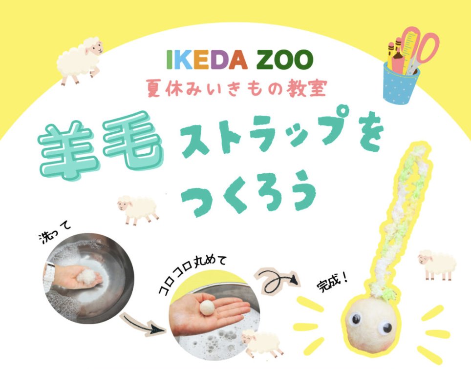 【夏休みいきもの教室】ヒツジの毛で羊毛ストラップを作ろう！