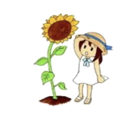 夏休み映画会
