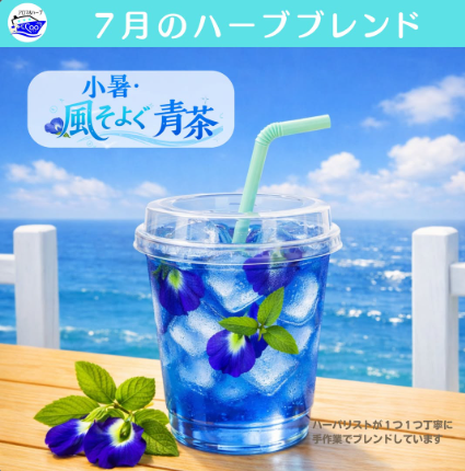 小暑・風そよぐ青茶