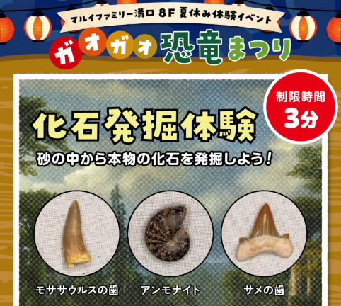 化石発掘体験