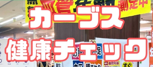 女性のためのフィットネスカーブス血管年齢測定