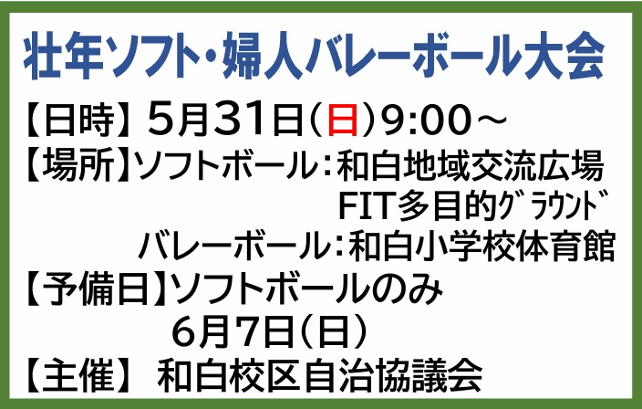 壮年ソフトボール大会