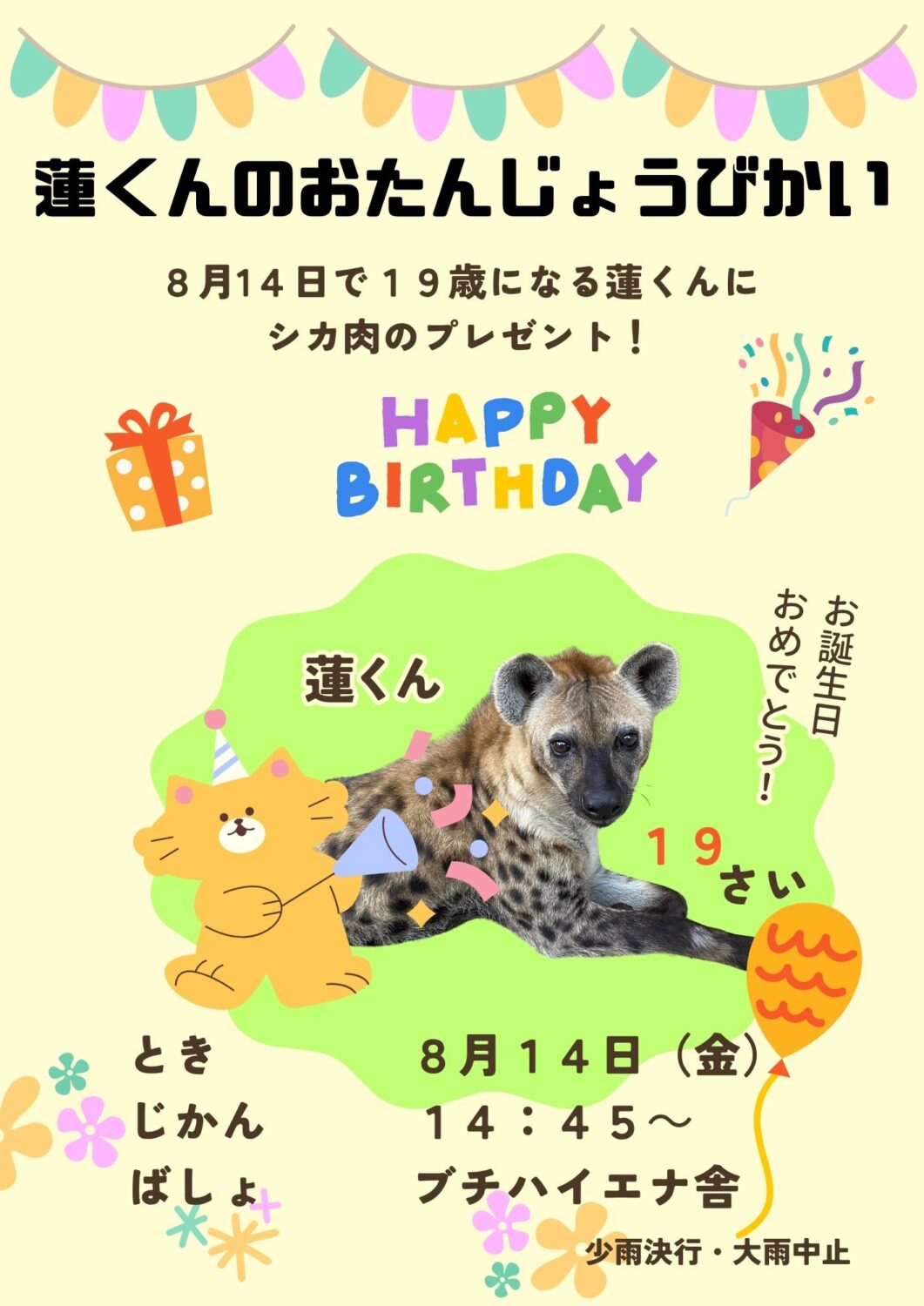 ブチハイエナ「蓮」のお誕生日会