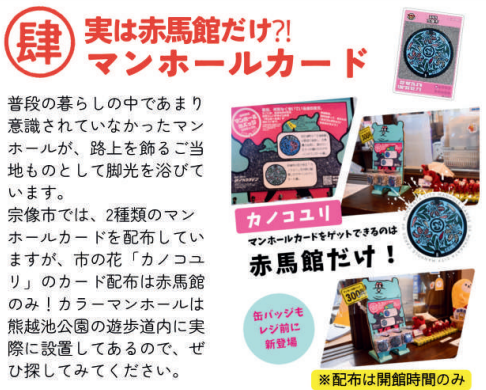 カノコユリ　マンホールカード配布