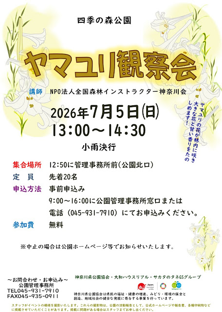 ヤマユリ観察会