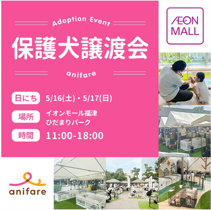 保護犬譲渡会